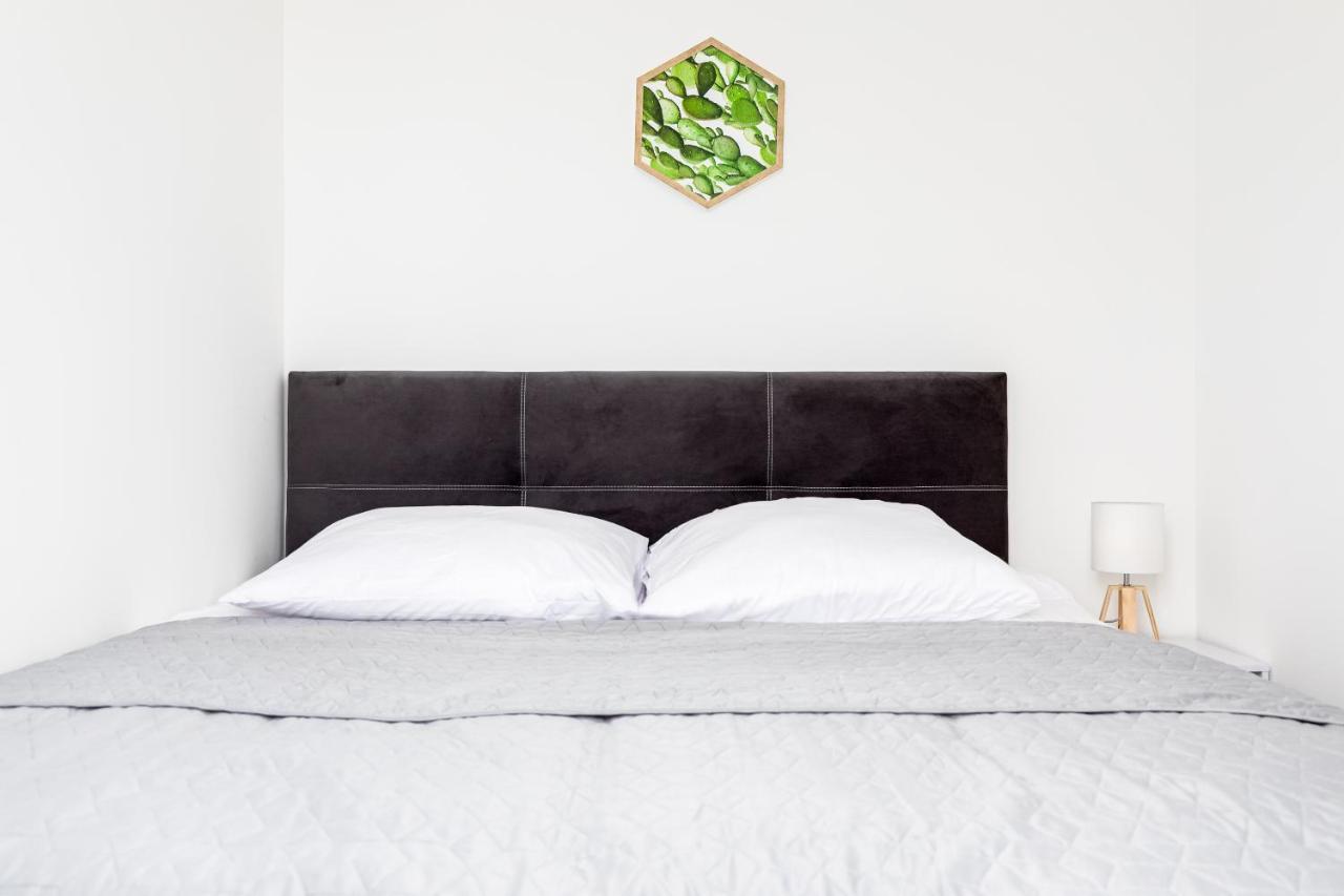 Przytulny apartament 62 centrum Szczecina Zewnętrze zdjęcie